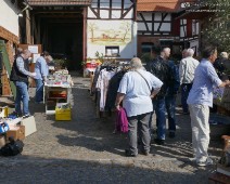 Rohrbach (10)