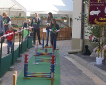Rohrbach (13)