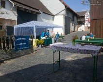 Rohrbach (7)