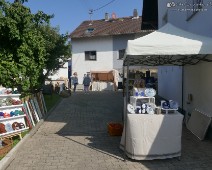 Rohrbach (8)