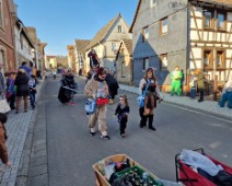 Fasching Heegheim 2023 (13)