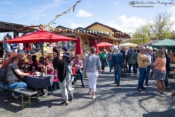 Bahnhoffest 2023 (87)