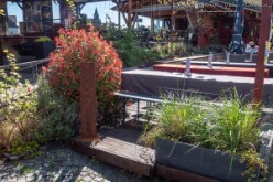 Bahnhoffest 2025 (3)