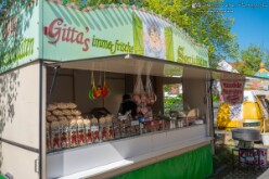 Bahnhoffest 2025 (9)