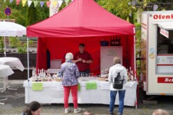 Bahnhoffest 2024 (7)